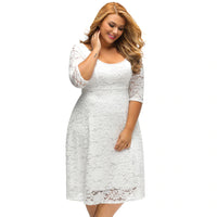 3/4 Sleeves Summer Lace Dress