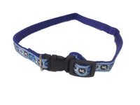 Collar for small dogs - Adjustable - Blue