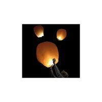 Sky Lantern - Chinese lantern - White Color