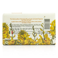 NESTI DANTE - Dei Colli Fiorentini Triple Milled Vegetal Soap - Broom