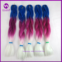 Desire for Hair 10packs Per Lot 24inch 100g Synthetic Braiding Hair Jumbo Braids 3 Tone Omber Blonde Lavender Color