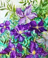 Purple Clematis : Prints