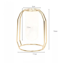 Nordic Glass Cuvette Vase Modern Gold Plated Iron Flower Vase Fashion Plant Vase Creative Terrarium Room Home Wedding Decoration