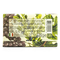 NESTI DANTE - Il Frutteto Illuminating Soap - Red Grapes & Blueberry